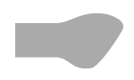 Anatomiska