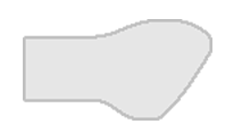 orthodontic